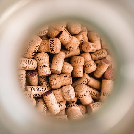 Štanjel Vina Kobal, Kobal Family Estate 아파트 외부 사진
