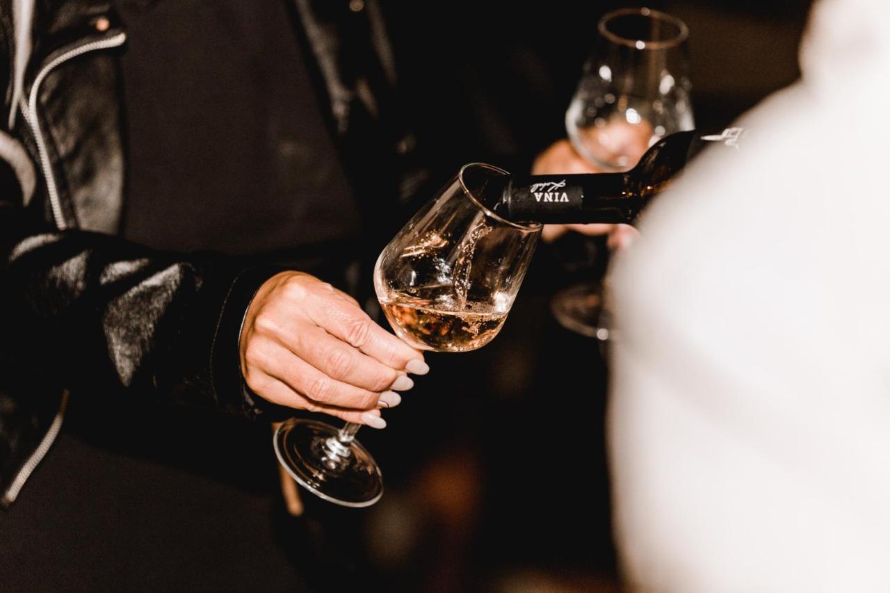 Štanjel Vina Kobal, Kobal Family Estate 아파트 외부 사진