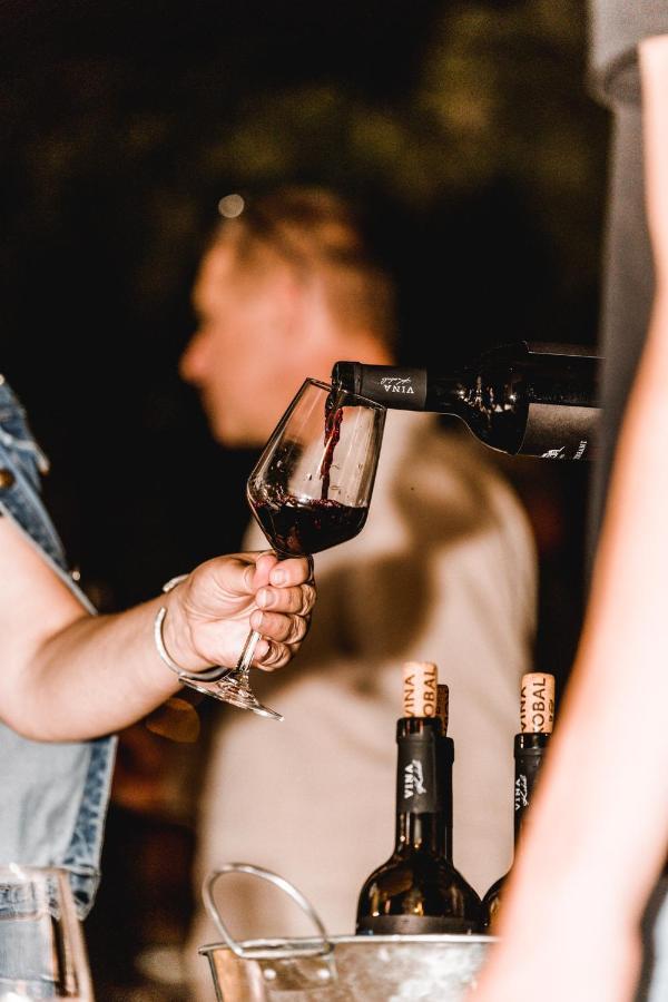 Štanjel Vina Kobal, Kobal Family Estate 아파트 외부 사진