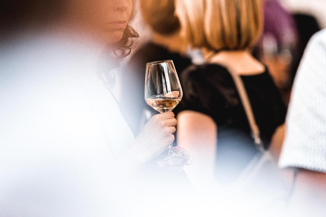 Štanjel Vina Kobal, Kobal Family Estate 아파트 외부 사진