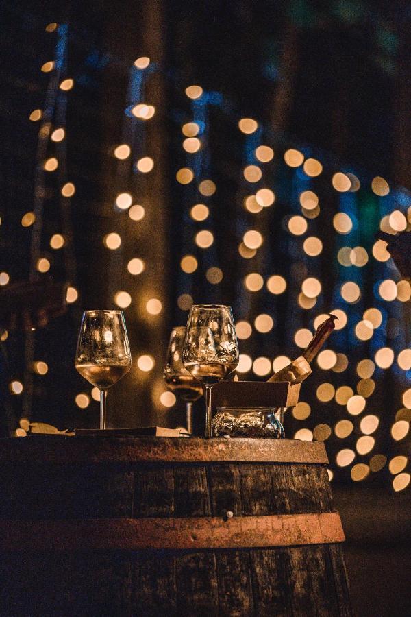 Štanjel Vina Kobal, Kobal Family Estate 아파트 외부 사진