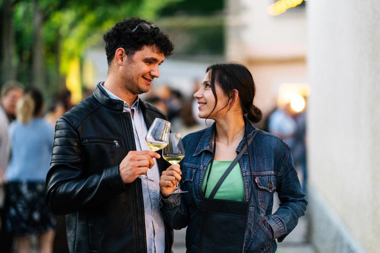 Štanjel Vina Kobal, Kobal Family Estate 아파트 외부 사진