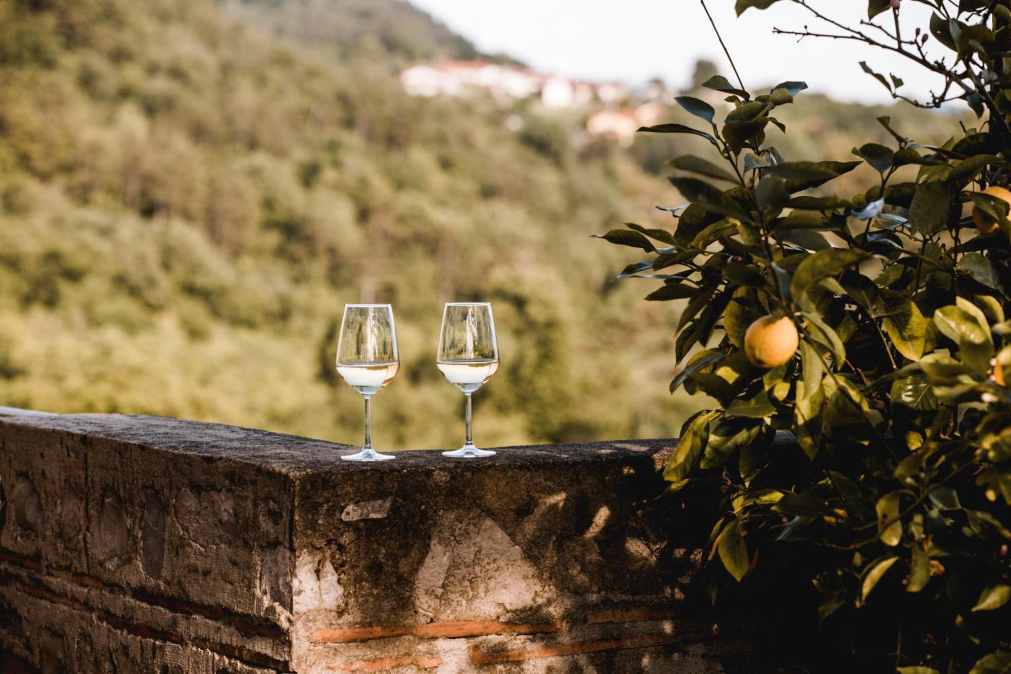 Štanjel Vina Kobal, Kobal Family Estate 아파트 외부 사진