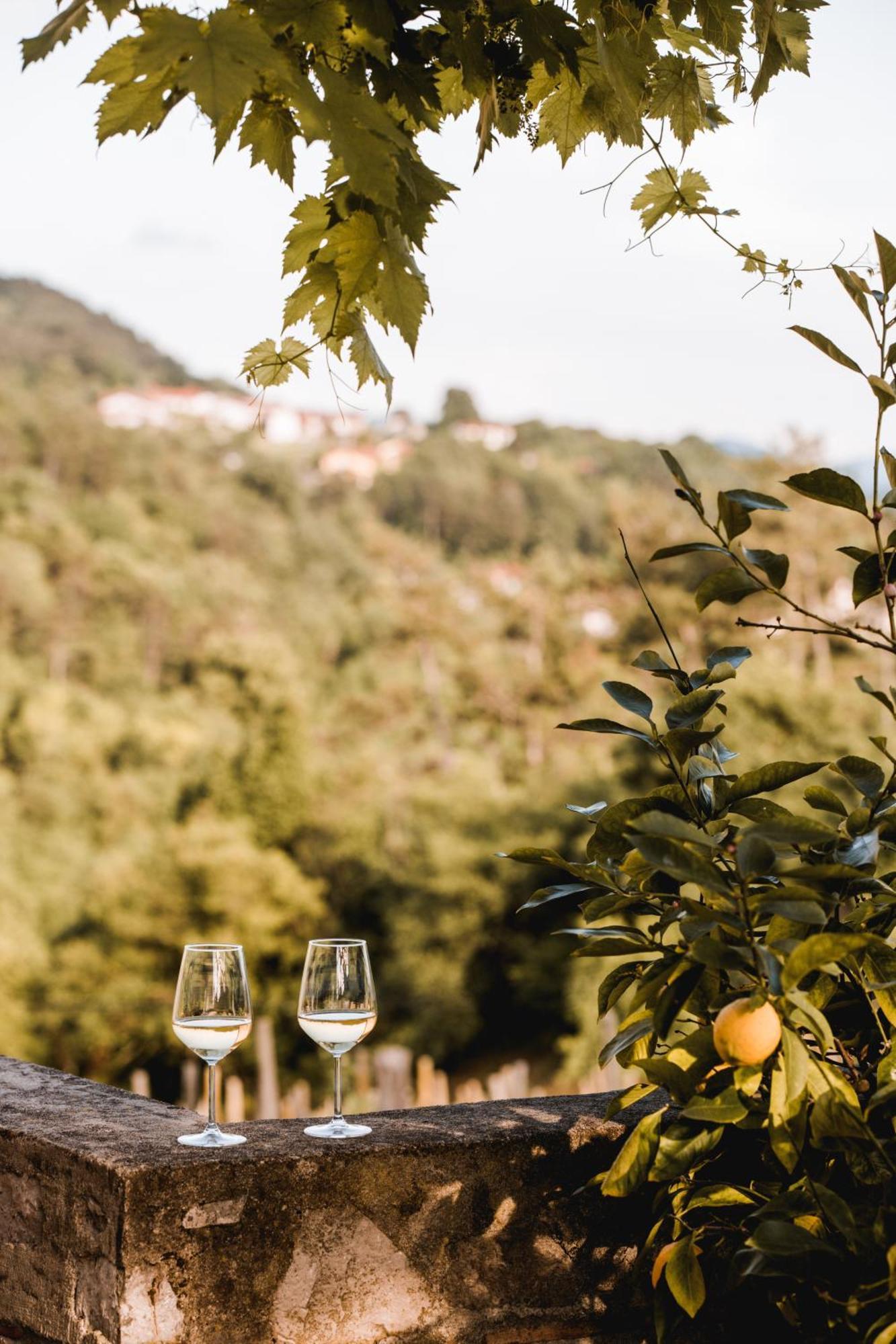 Štanjel Vina Kobal, Kobal Family Estate 아파트 외부 사진